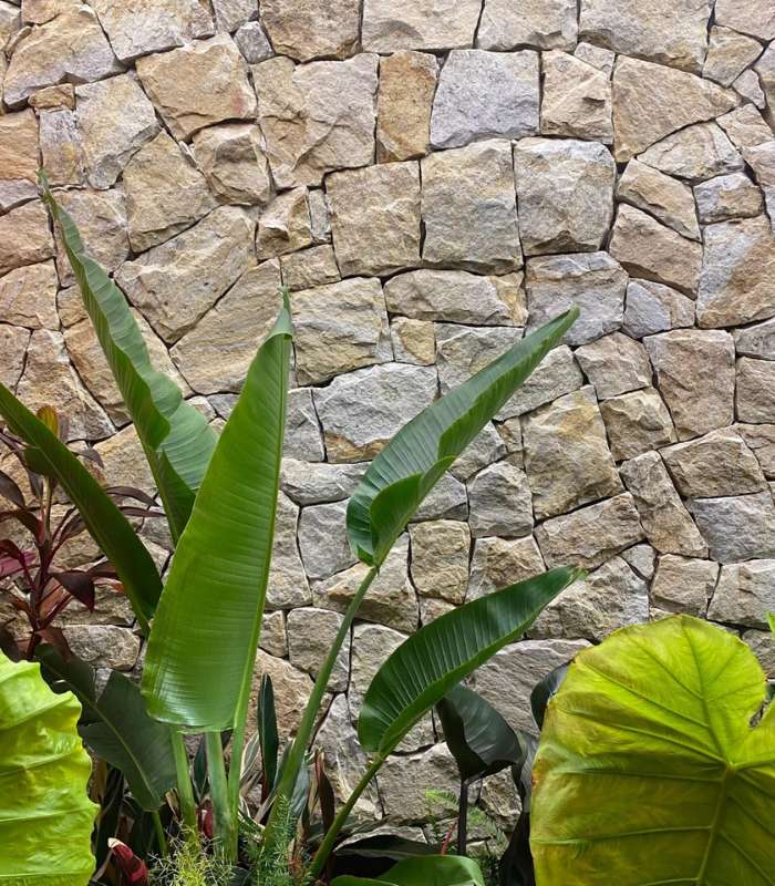 pedra savana Pedra Savana - Imagem 1